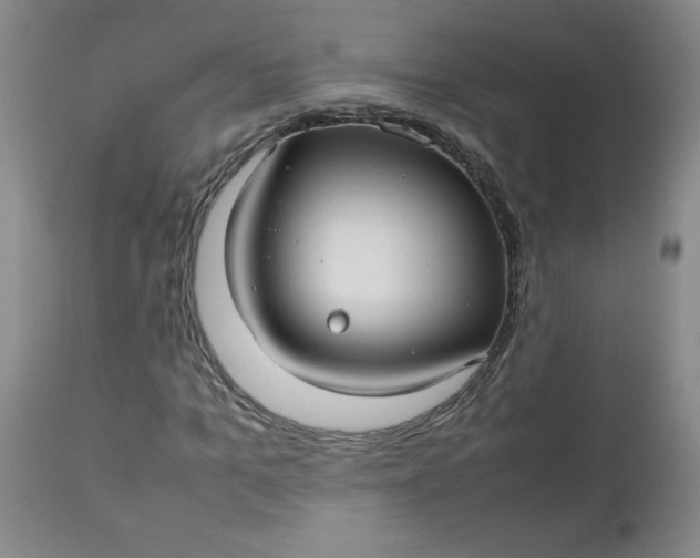 X0000112730965200909101448