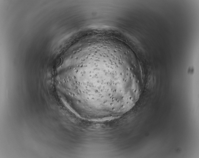 X0000112730966200909101448