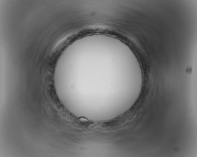 X0000112730967200909101448