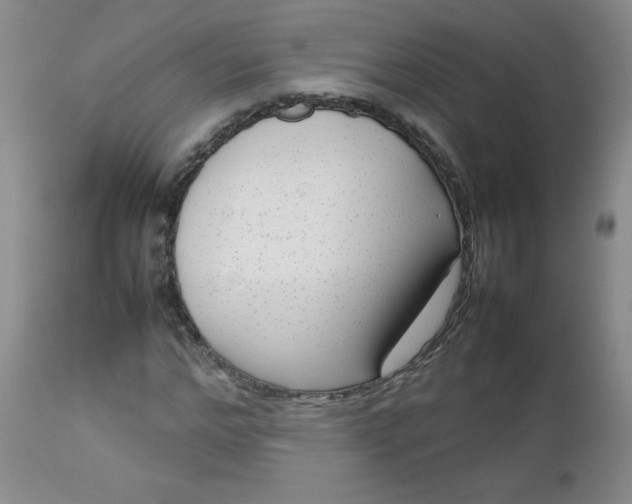 X0000112730968200909101447