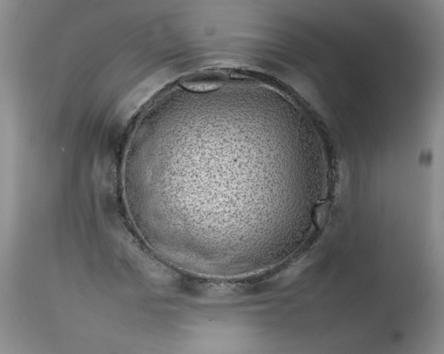 X0000112730969200909101447