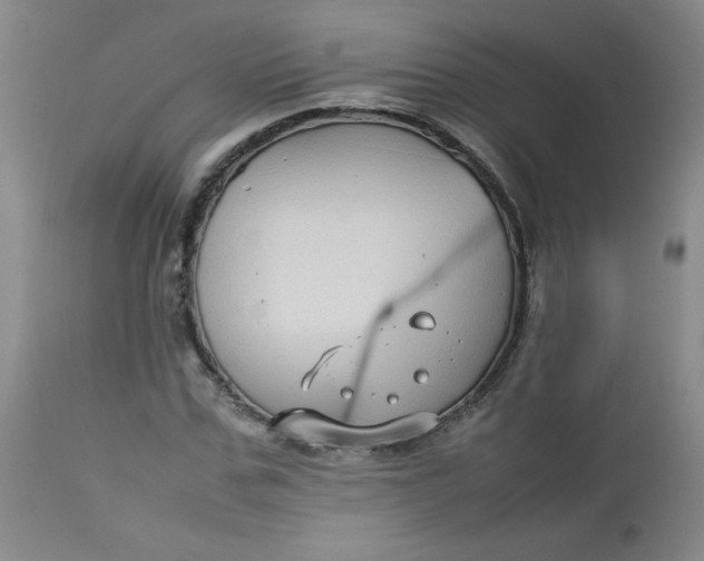 X0000112730971200909101447