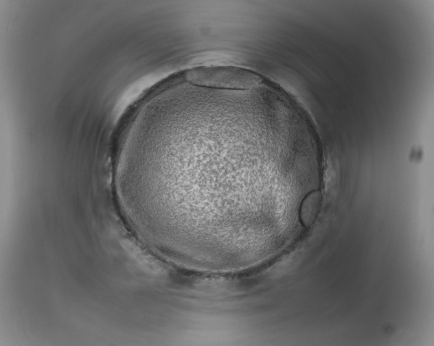 X0000112730973200909101447