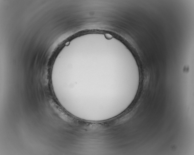 X0000112730974200909101447