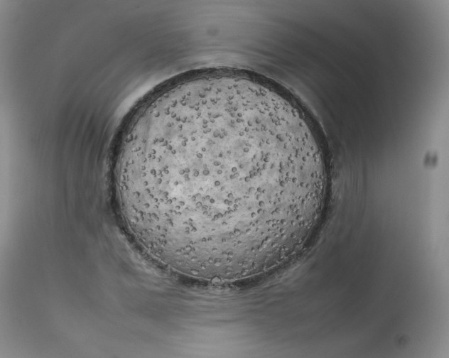 X0000112730975200909101447