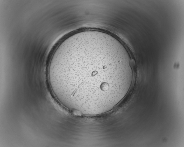 X0000112730976200909101447