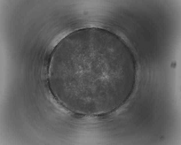 X0000112730977200909101447