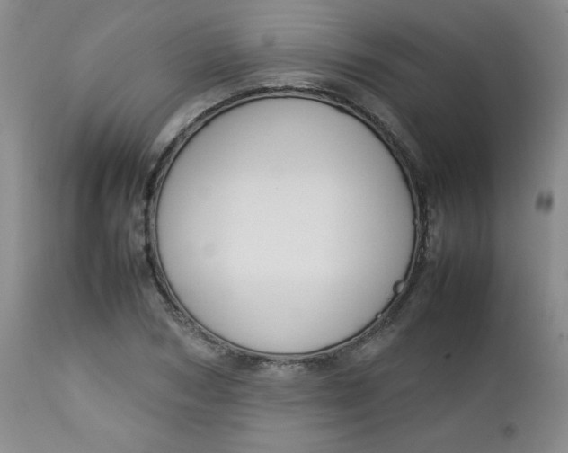 X0000112730978200909101447