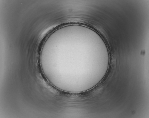 X0000112730979200909101447