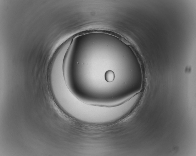 X0000112730981200909101447