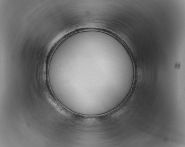 X0000112730982200909101447