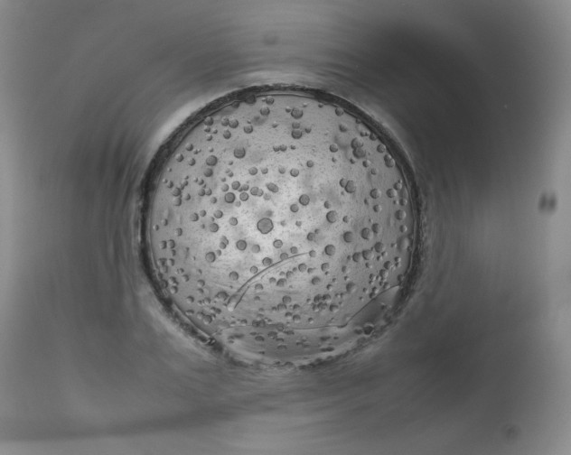 X0000112730983200909101447