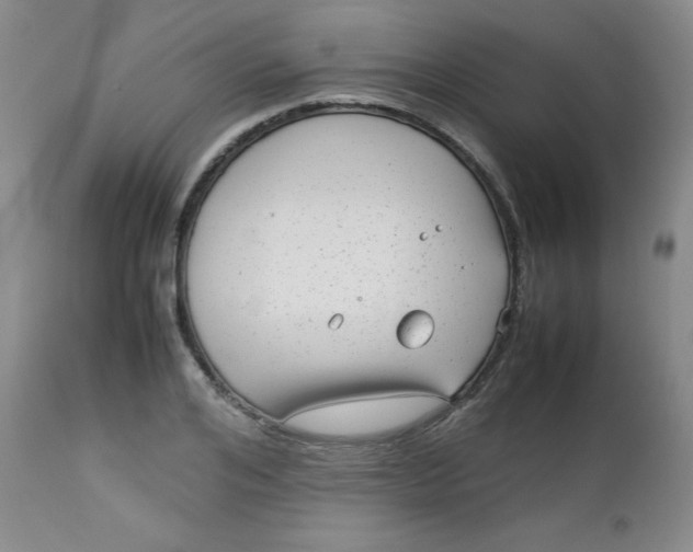 X0000112730984200909101447