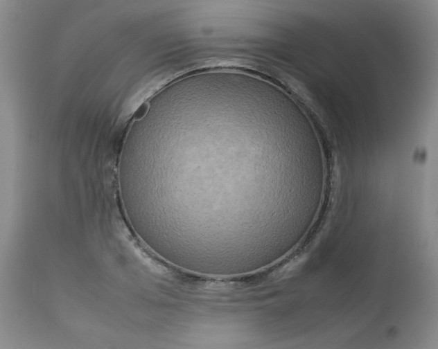 X0000112730985200909101447