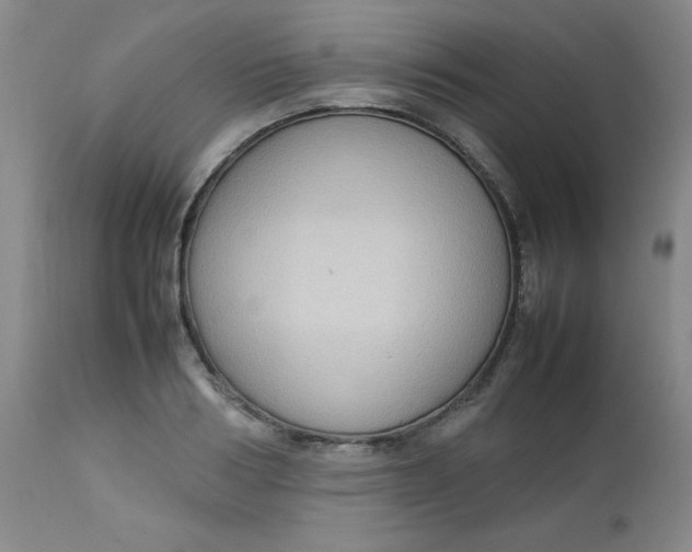 X0000112730986200909101447