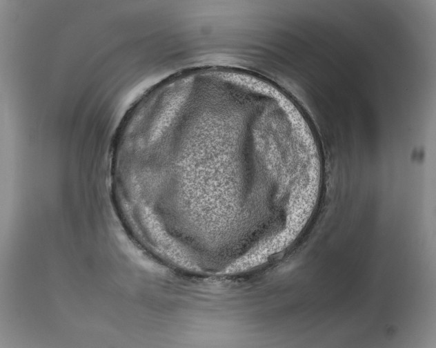 X0000112730987200909101447