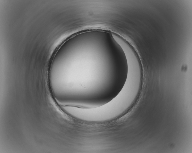 X0000112730989200909101447