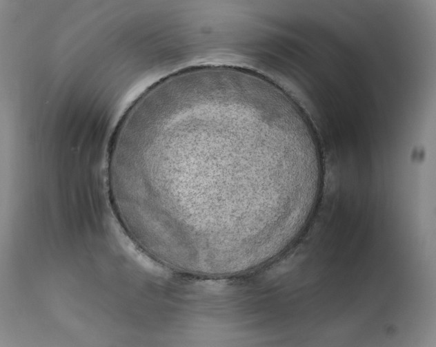 X0000112730990200909101447