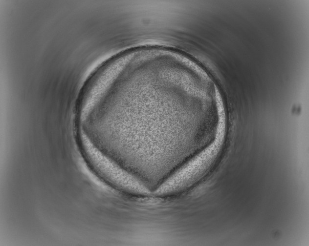 X0000112730991200909101447