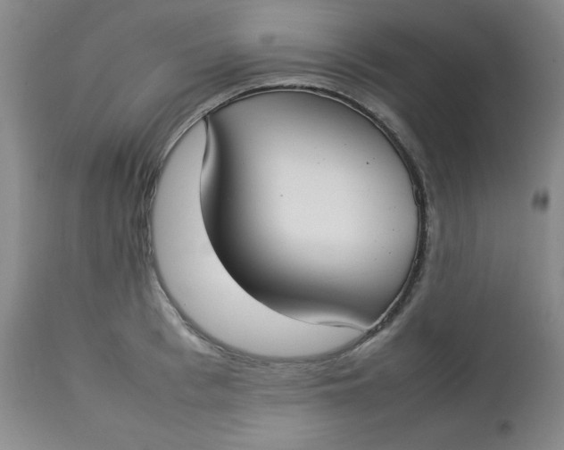 X0000112730993200909101447