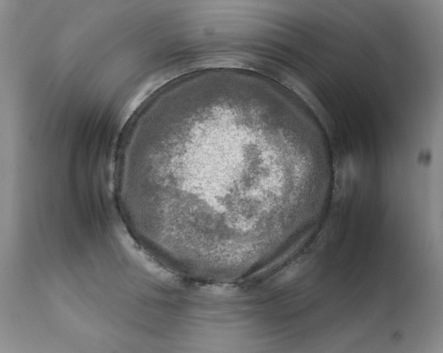 X0000112730994200909101447