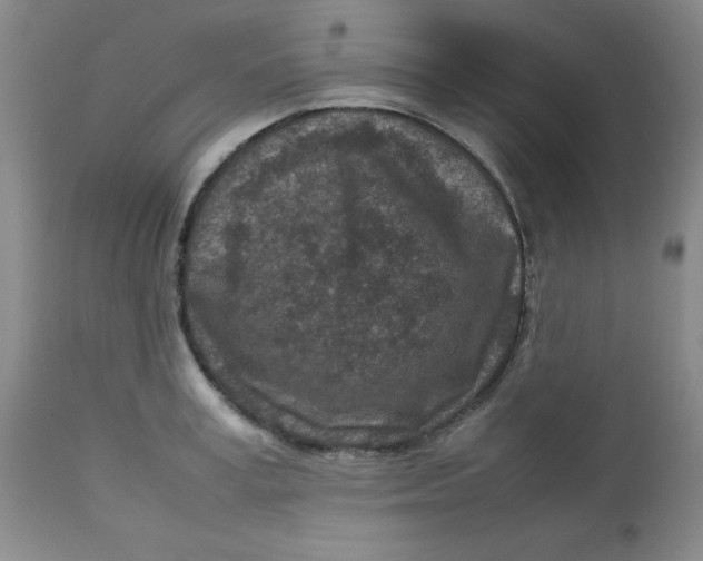 X0000112730995200909101447