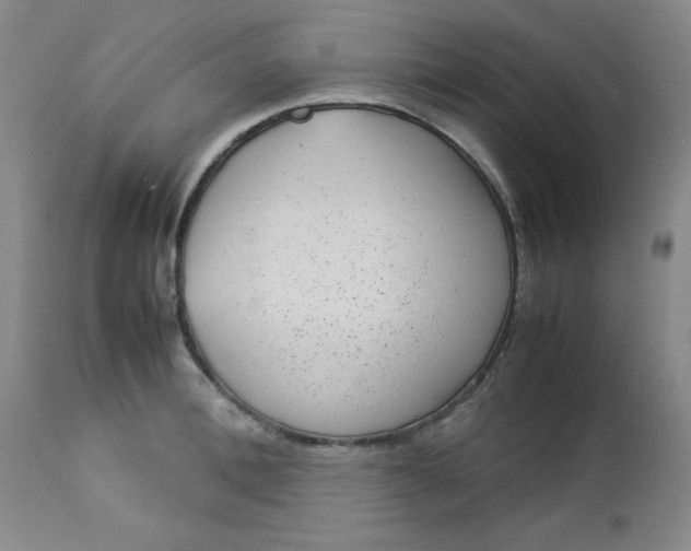 X0000112730996200909101447