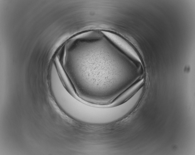 X0000112730997200909101447