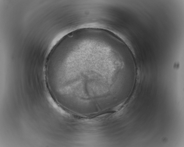 X0000112730998200909101447