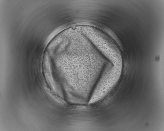 X0000112731002200909101447