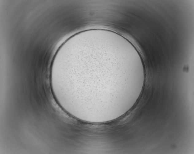 X0000112731004200909101447