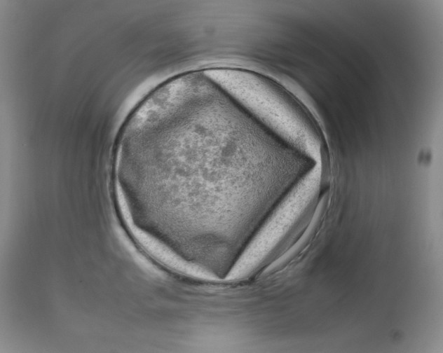 X0000112731005200909101447