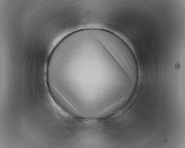 X0000112731006200909101447