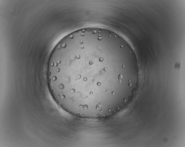 X0000112731007200909101447