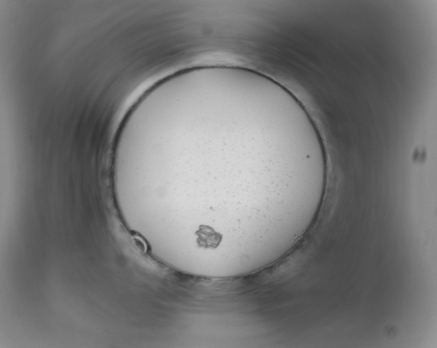 X0000112731008200909101447