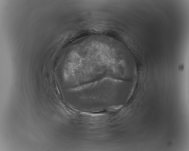 X0000112731009200909101446