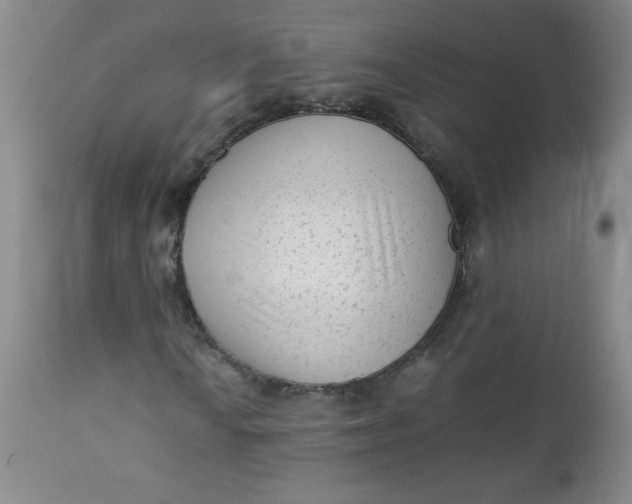 X0000112731010200909101446