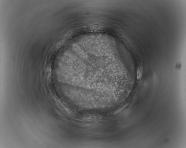 X0000112731011200909101446