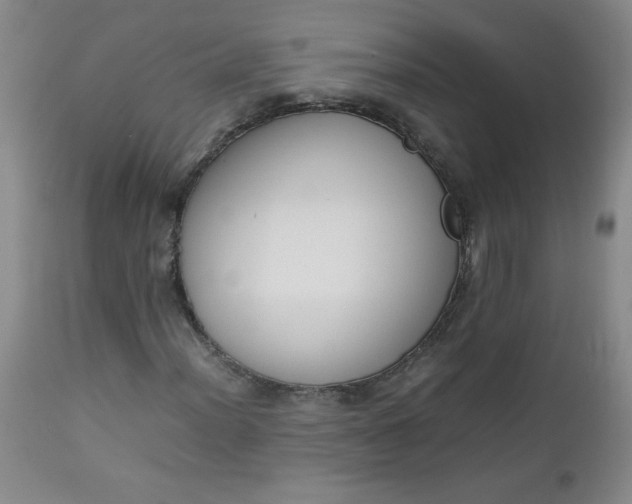 X0000112731012200909101446