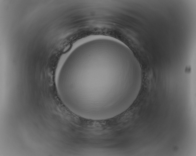 X0000112731013200909101446