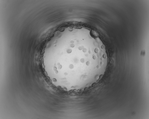 X0000112731014200909101446