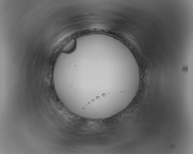 X0000112731015200909101446