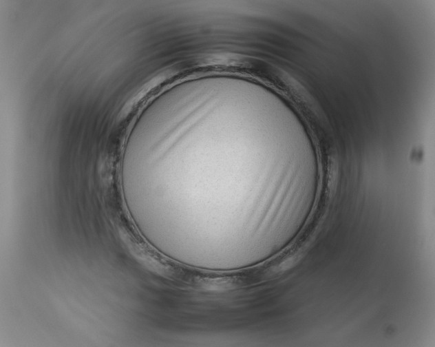 X0000112731017200909101446