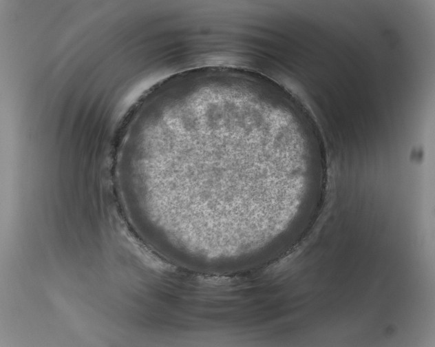 X0000112731019200909101446