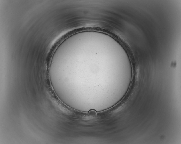 X0000112731021200909101446