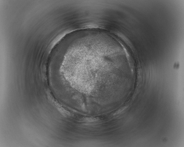 X0000112731023200909101446