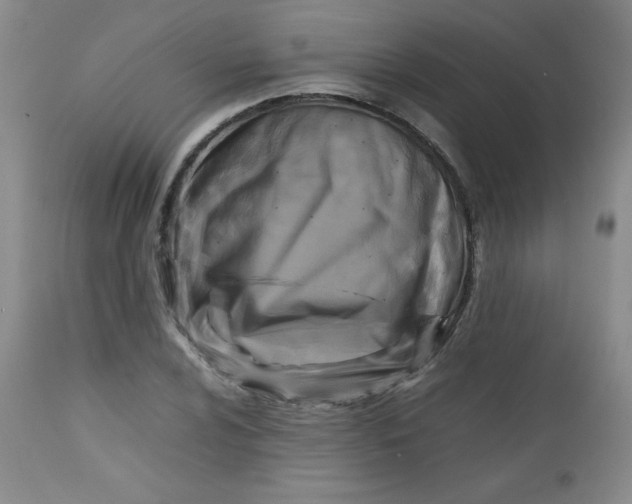 X0000112731024200909101446