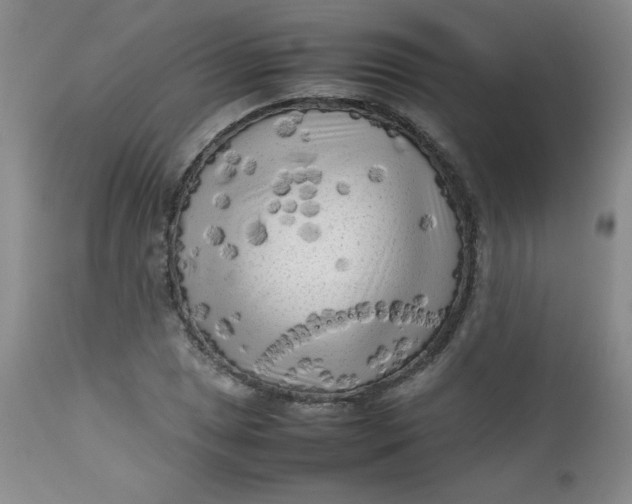 X0000112731025200909101446