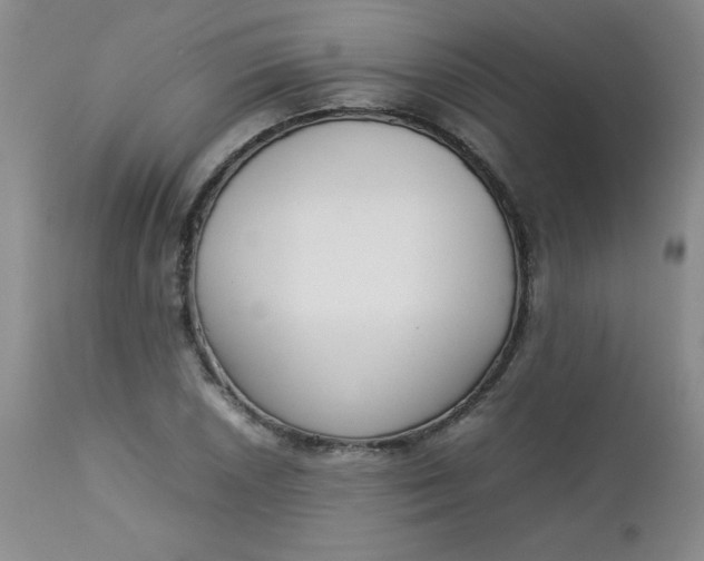 X0000112731026200909101446