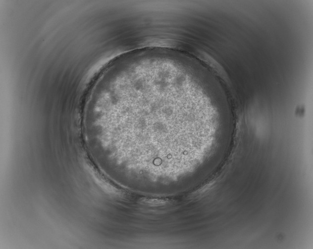 X0000112731027200909101446